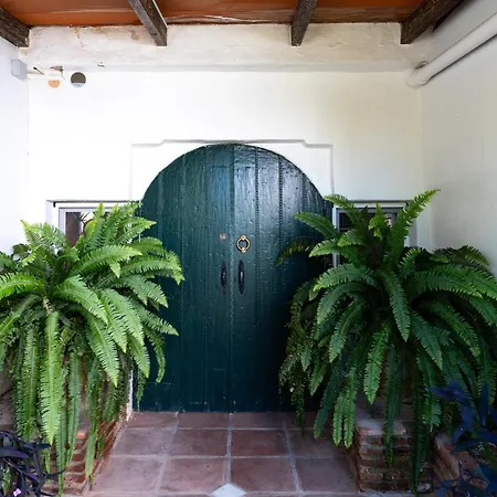 Ct 389 - Faro's Charming & Private Pool In Villa *